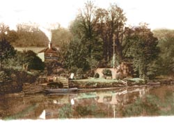 Picture